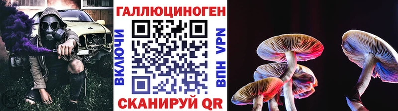 Псилоцибиновые грибы Magic Shrooms  Новомичуринск 
